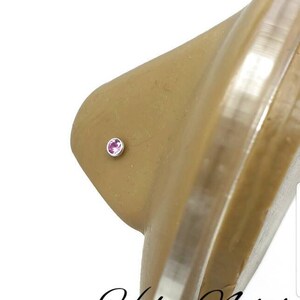May include: A nose stud with a small, round, pink gemstone set in a silver-colored metal. The stud is placed on a tan-colored nose. The text "Holey Noses" is written in cursive at the bottom of the image.
