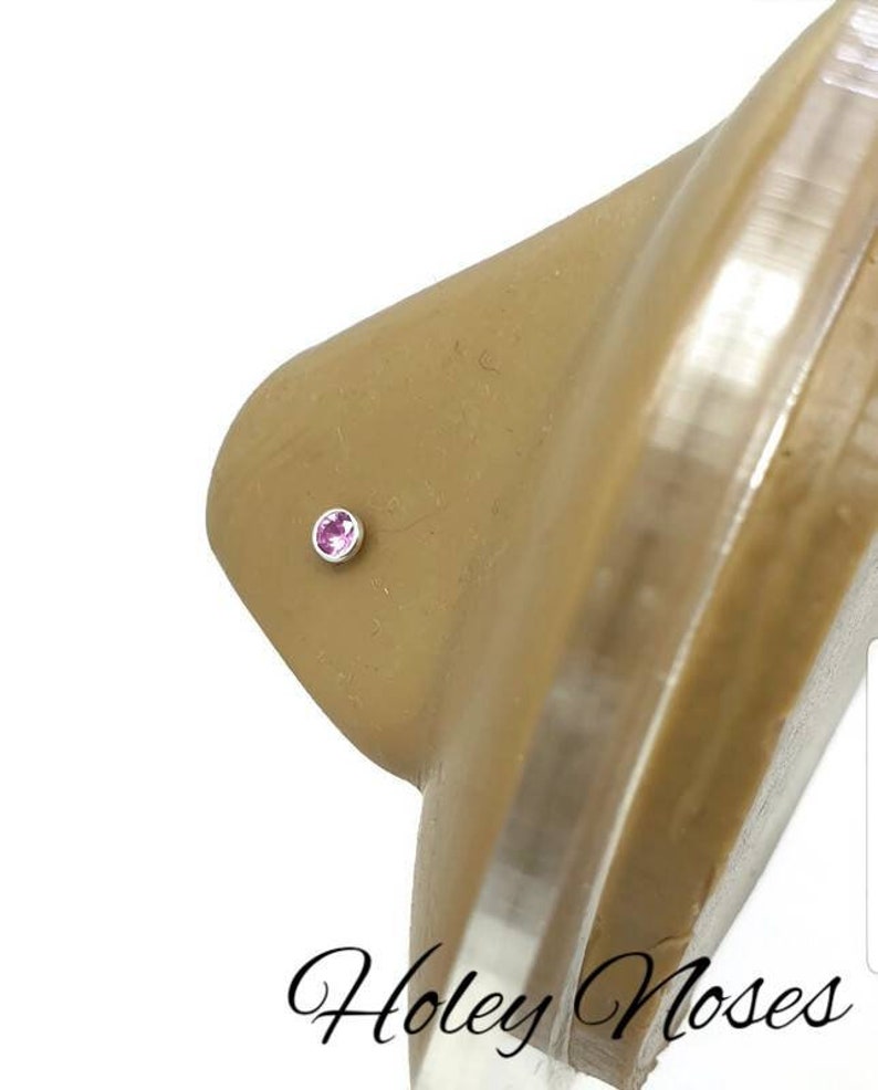 May include: A nose stud with a small, round, pink gemstone set in a silver-colored metal. The stud is placed on a tan-colored nose. The text "Holey Noses" is written in cursive at the bottom of the image.