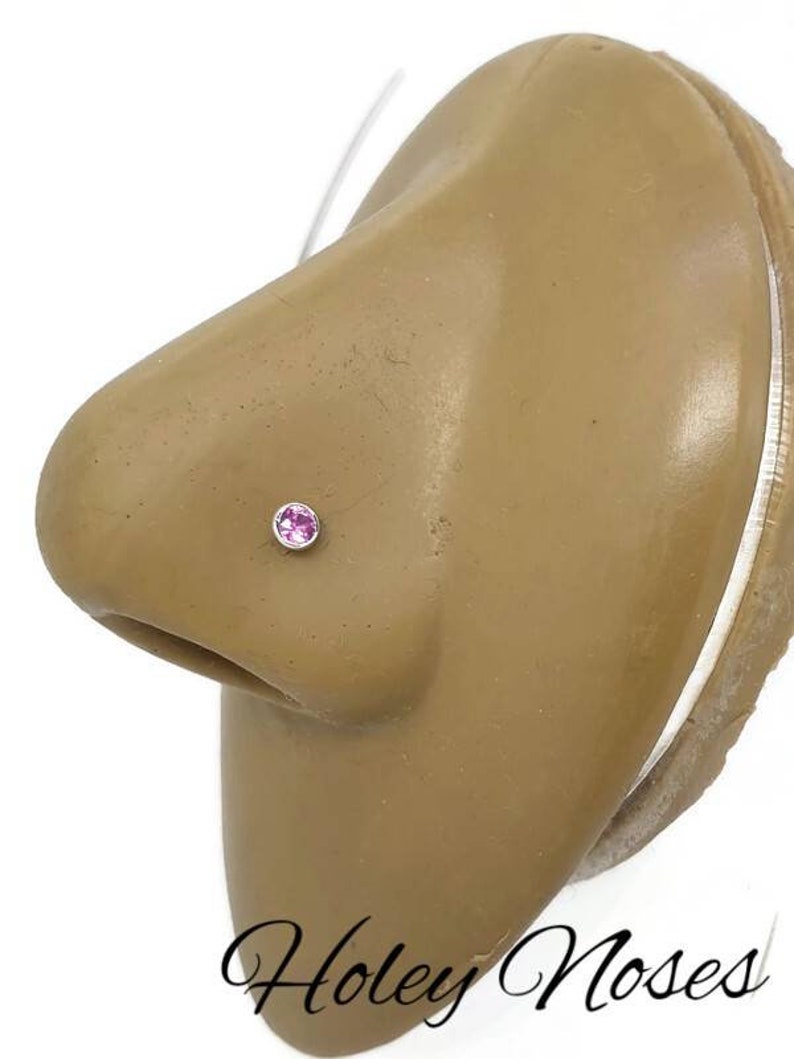 May include: A nose stud featuring a small, round, pink gemstone set in a silver-colored metal. The stud is placed on a tan-colored nose. The image includes the text "Holey Noses" in a cursive font.