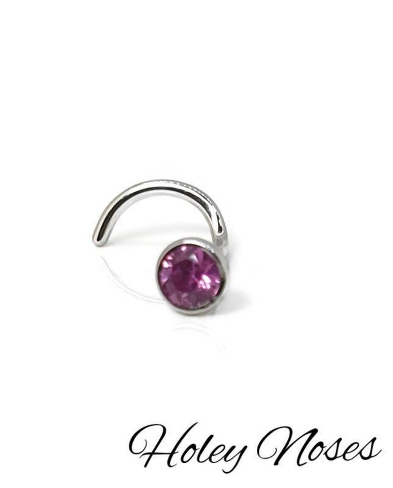 May include: A silver nose ring with a curved post and a round, magenta-colored gemstone. The jewelry is set against a white background. The text "Holey Noses" is written in cursive script below the nose ring.