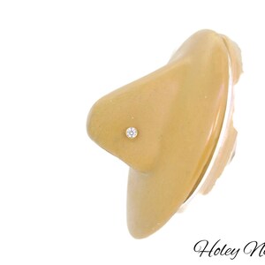 Puede incluir: Un peque&ntilde;o piercing de nariz con una gema transparente se muestra en un modelo de nariz de color beige. El piercing es redondo y parece estar engastado en un dise&ntilde;o sencillo. El texto "Holey Noses" est&aacute; escrito en cursiva en la parte inferior derecha.