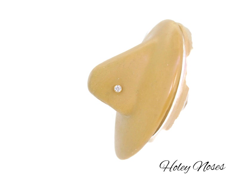 Puede incluir: Un peque&ntilde;o piercing de nariz con una gema transparente se muestra en un modelo de nariz de color beige. El piercing es redondo y parece estar engastado en un dise&ntilde;o sencillo. El texto "Holey Noses" est&aacute; escrito en cursiva en la parte inferior derecha.