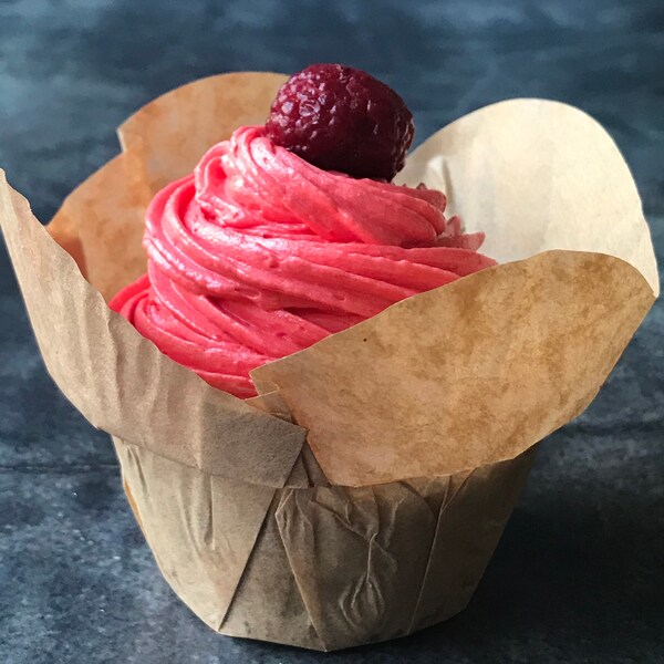 Paper Muffin Cups Etsy