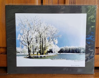Ice Storm Photography | Winter Landscape Art | Frozen Trees | Gray Nature Photo Gift | Ready to Ship Lake Print | 11x14 Mounted Wall Art
