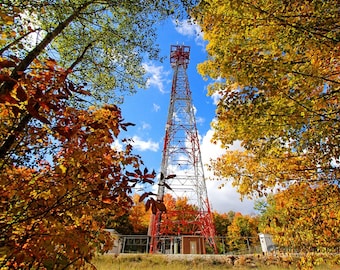 Cell Tower Photo | Landscape Photography | Fall Trees | Michigan Autumn Wall Art | Yellow Orange Earth Tones Home Office Decor | Tower Print
