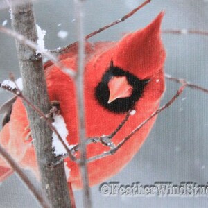 May include: A vibrant red cardinal perched on a snow-covered branch. The bird has a black face mask and a prominent crest. The background is a soft, blurred winter scene with falling snow. The image is a close-up of the bird.