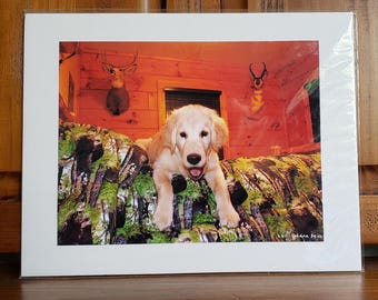 Golden Retriever Décor | Log Cabin Wall Art | Gift For Hunter | Cute Puppy on Bed | Unique Dog  Photo | Ready to Ship Print | 11x14 Mounted