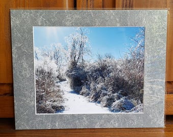 Icy Winter Trail Print | Ice Covered Trees Photo | Storm Wall Art | Nature Photo Gift | Winter Wonderland | Sparkling Ice | 11x14 Matted