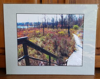 Marsh Boardwalk Trail Print | Autumn Photo | Seven Ponds Nature Center Wall Art | Michigan Scenic Wall Art | 11x14 Matted Platform Scenery