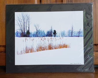Winter White Wall Art | Unique Landscape Photography | Snow Marsh Field Cattails | Nature Home Office Décor | Michigan | 11x14 Mounted Print