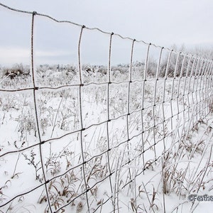 May include: A black wire fence covered in frost, set against a snowy field and a cloudy sky. The fence runs diagonally across the frame, with frosted grass and snow in the foreground. The scene evokes a cold winter day.