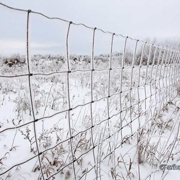 Snow Field Fence Etsy