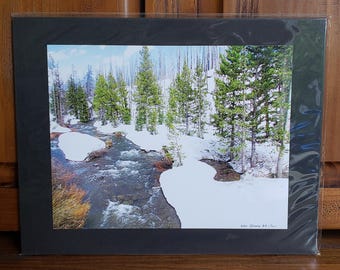 Winter Landscape Décor | Yellowstone Park Wall Art | Scenic Pines | Nature | River | Rocky Mountains Photo | Wyoming Scenery | 11x14 Mounted