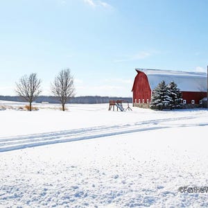 May include: A red barn with a white roof and a silo stands in a snowy field. Two bare trees are in the foreground, and the sky is blue.