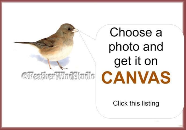 May include: A watercolor illustration of a small bird with brown and beige feathers, standing on a white background. Text reads "Choose a photo and get it on CANVAS" with the words "Click this listing" below.