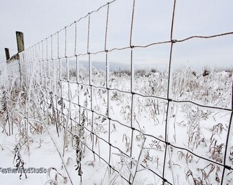 Frost Photography | Chicken Hog Wire Fence | Scenic Winter View | Snow Covered Field | Icy Winter Landscape | Freezing Weather Photo Print