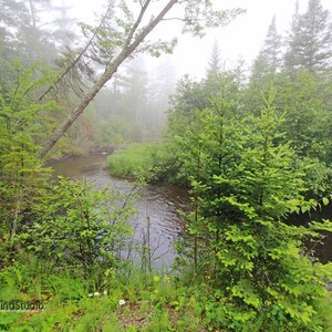 Könnte beinhalten: Eine ruhige Landschaft mit einem fließenden Fluss, umgeben von üppigen grünen Bäumen und Blättern. Die Szene ist von sanftem Nebel umhüllt, was eine friedliche Atmosphäre schafft. Das Bild zeigt eine natürliche, unberührte Umgebung.