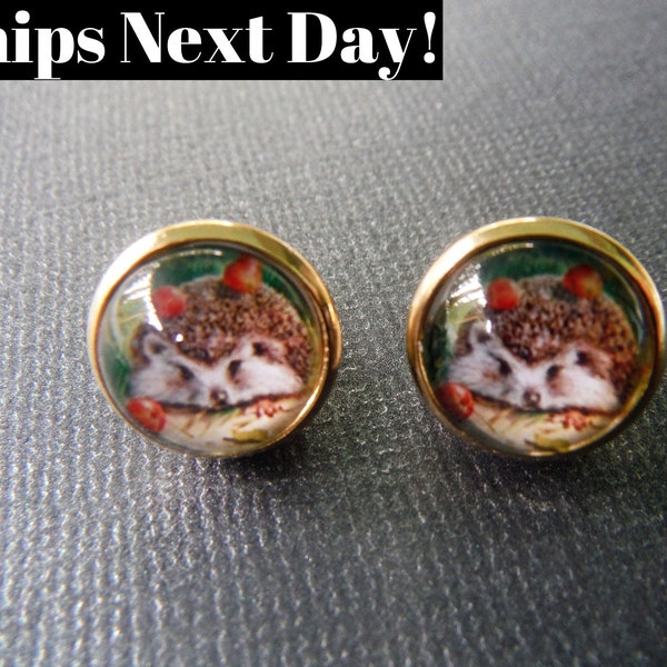 Hedgehogs, Hedgehog earrings, Stud earrings, forest animals, animal lovers, pet hedgehogs