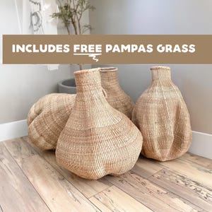 Garlic Gourd Basket Includes Free 3 Pampas Stems | Bolga Basket | African Baskets | Handmade Baskets | Decor Basket | Wicker Planter Basket