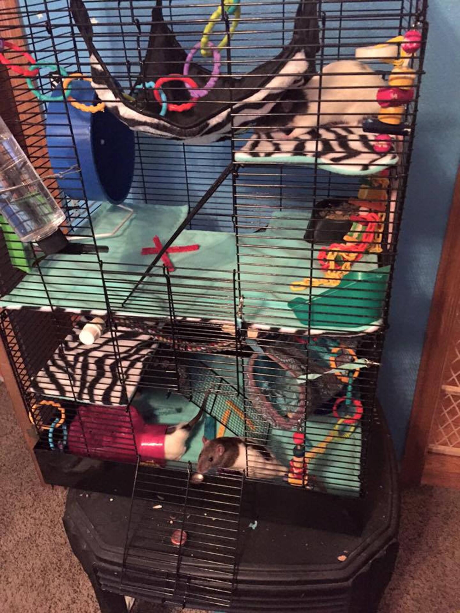 Custom rat manor cage liners rat cage 4 pc set custom Etsy
