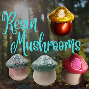 Resin Pilz Vorratsdose mit Deckel und Boden aus Korkstoff. super bunt!