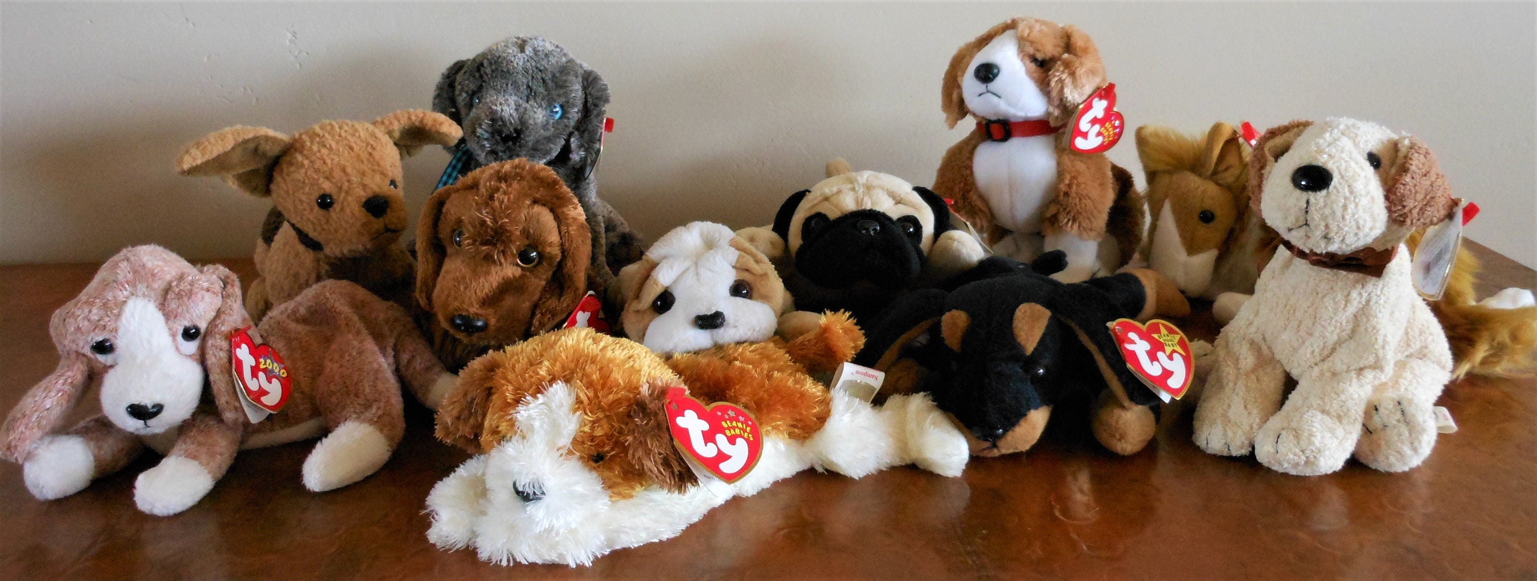 TY SAMPSON the DOG BEANIE BABY MINT with MINT TAGS