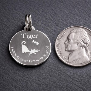 Custom Engraved Stainless Steel Cat ID Tag, Lightweight Collar Charm, Personalized Pet Name Tag image 5