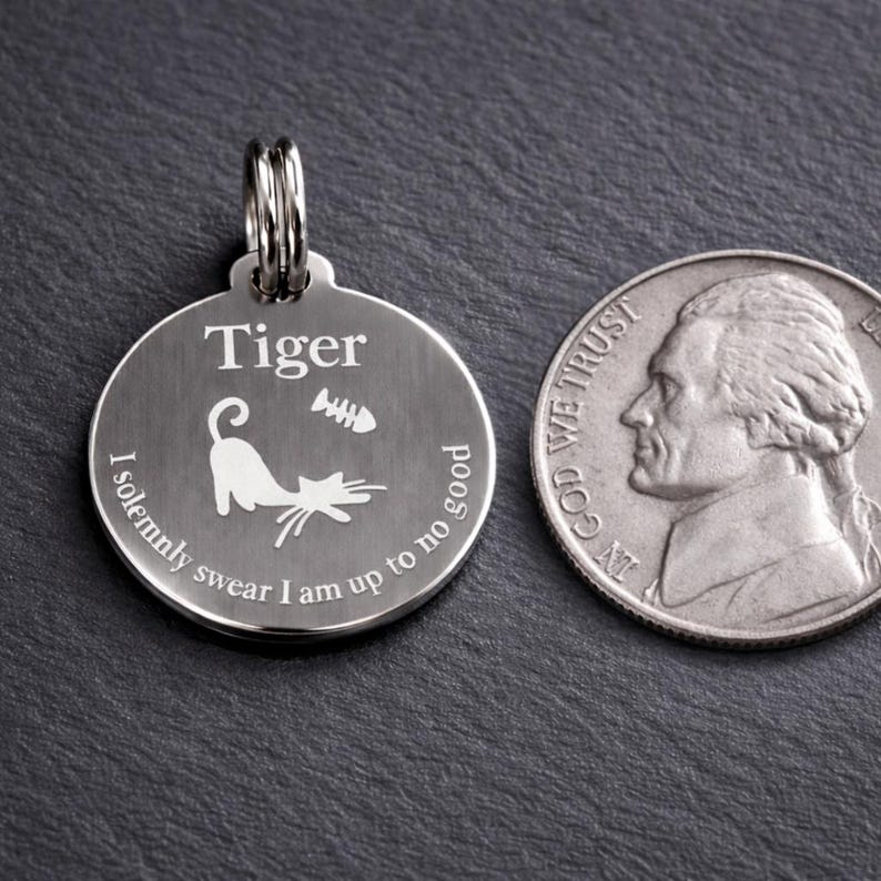 Custom Engraved Stainless Steel Cat ID Tag, Lightweight Collar Charm, Personalized Pet Name Tag image 5