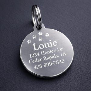 May include: A silver-colored, round pet tag with a paw print design and the name "Louie" engraved in white. The tag also includes an address and phone number. A silver ring is attached at the top.
