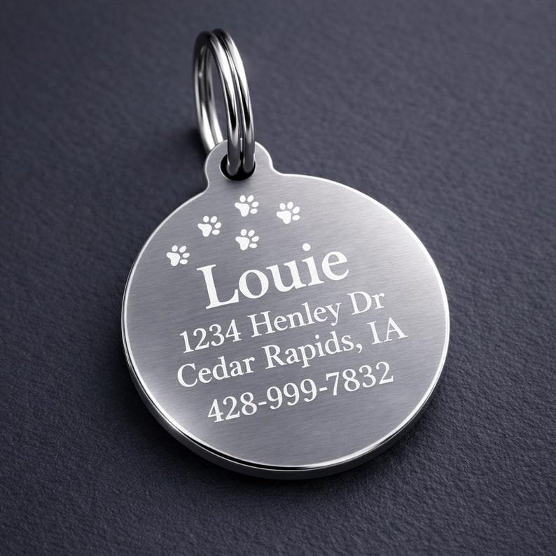 May include: A silver-colored, round pet tag with a paw print design and the name "Louie" engraved in white. The tag also includes an address and phone number. A silver ring is attached at the top.