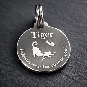Custom Engraved Stainless Steel Cat ID Tag, Lightweight Collar Charm, Personalized Pet Name Tag image 2
