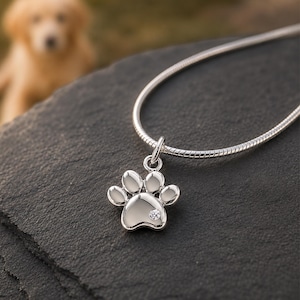 May include: A silver-toned necklace featuring a paw print pendant. The pendant has a polished metallic finish and is accented with a single small, clear, round-cut gemstone embedded in the main pad area of the paw design on a snake chain.