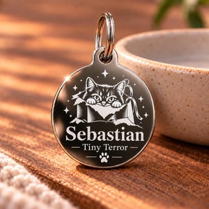 May include: A round, polished silver-toned metal pet ID tag featuring an engraved illustration of a cat peeking out of a box, surrounded by small stars. The text reads Sebastian, Tiny Terror, with a small paw print icon below the text.