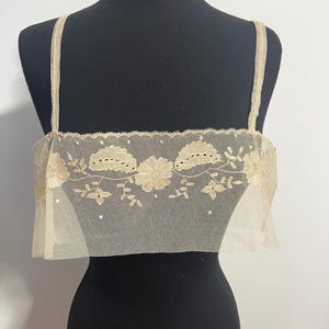 Antique 1920- 30’s Embroidered Net Lace Yoke - E