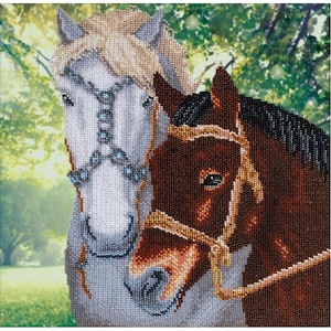 Bead Embroidery kit Horses DIY Beadwork kit Beading kit Hand embroidery Beaded Stitching