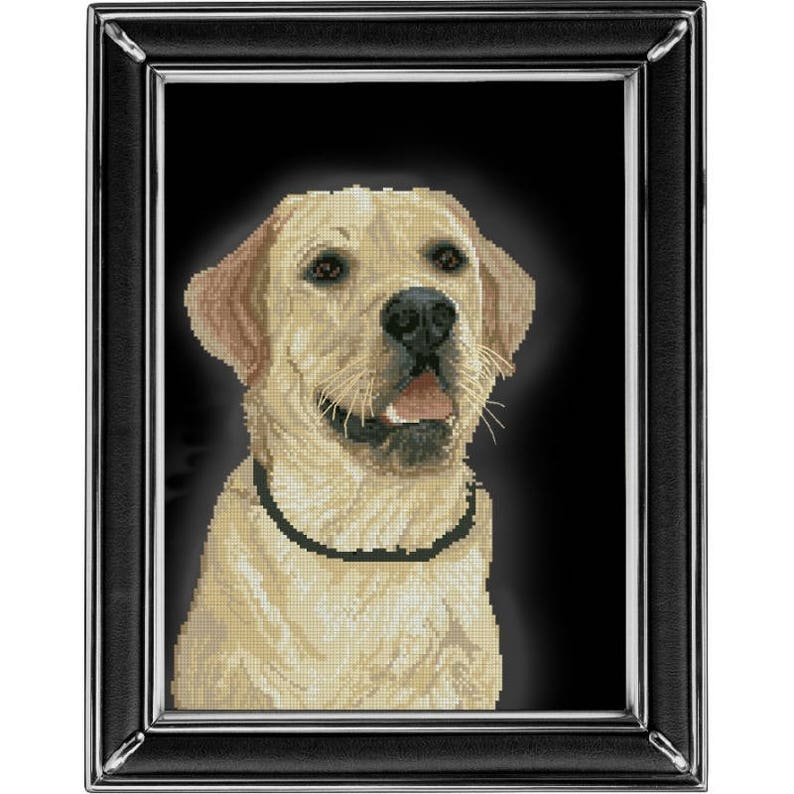 Cross Stitch Kit Labrador retriever Dog DIY Modern Cross Etsy