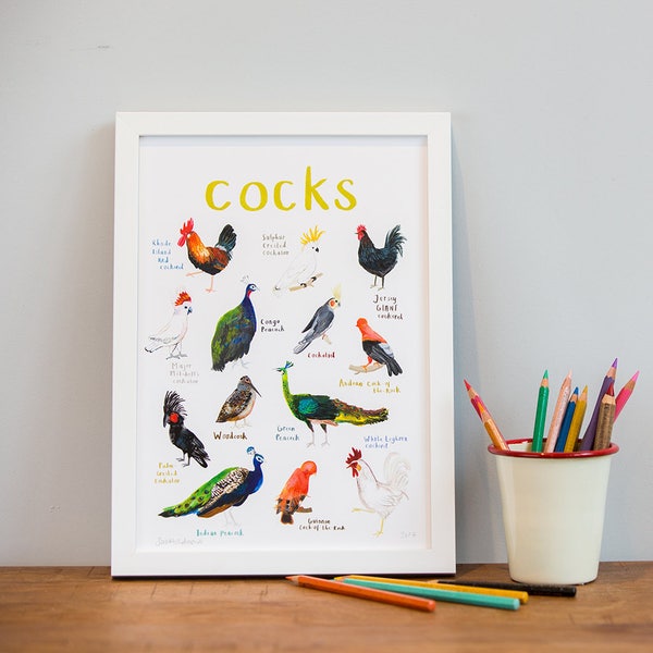 Cocks Art Print - A4