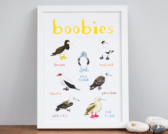 Boobies Art Print - A4