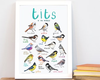 Tits of the WORLD - Bird Art Print - A4 - New Edition! - Etsy Canada