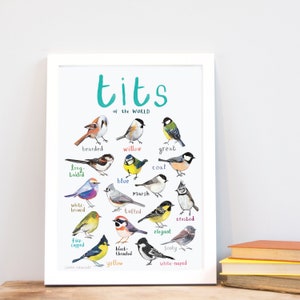 Tits of the WORLD Bird Art Print A4 new edition image 1
