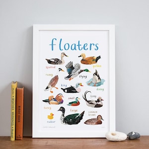 Puede incluir: Un gráfico ilustrado colorido titulado "floaters" que presenta diferentes tipos de patos con sus nombres: manchado, corredor, rey, volando, buceando, largo, pequeño, elegante, grande, marrón común y de goma.