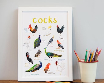Cocks Art Print - A4