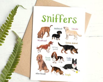 Sniffers Card