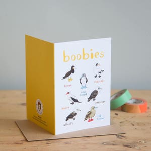 Boobies Card - A6 fun greeting card - cheeky birds - GC02