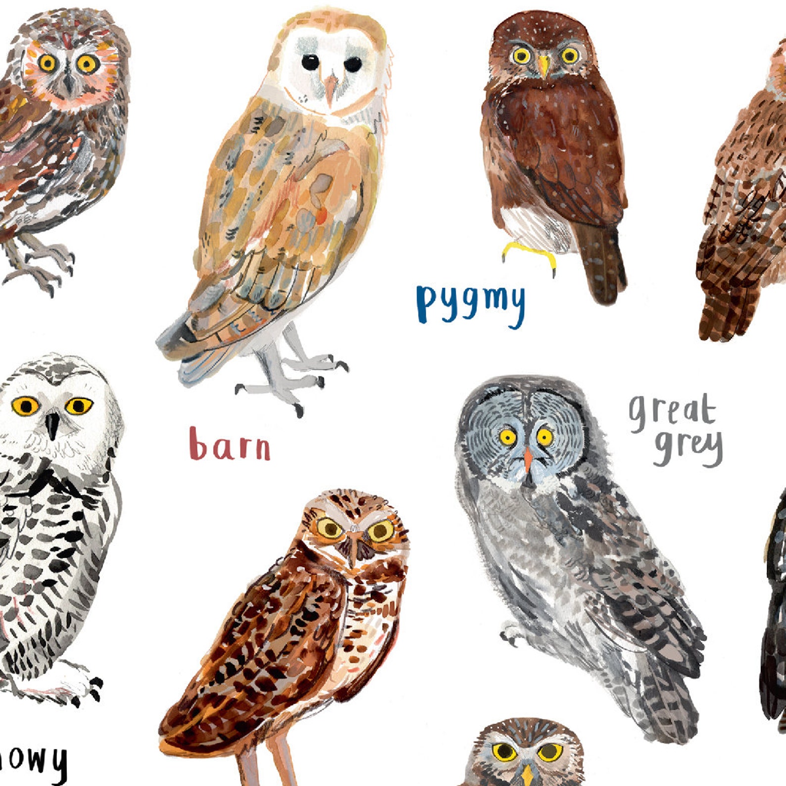 Hooters A4 Print Fun Owl Art Print cheeky bird poster Etsy