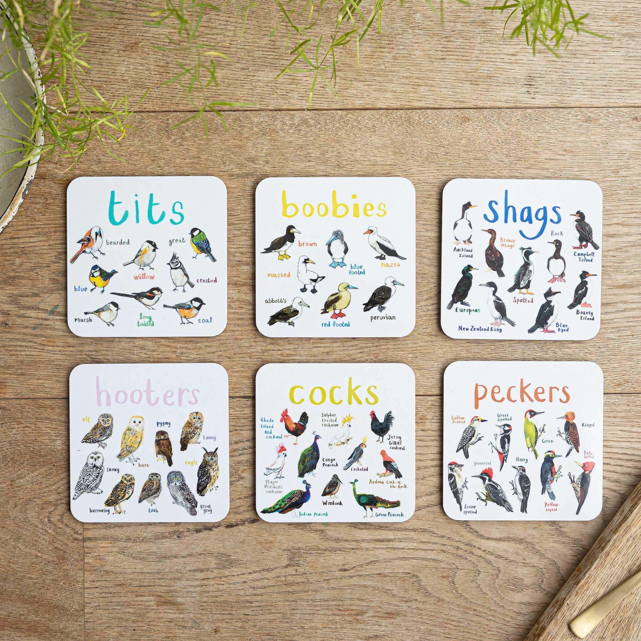 Set of 6 Bird Pun Coasters CS16SET Etsy UK