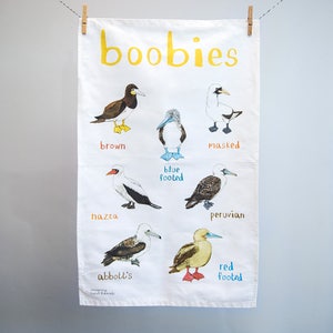 Boobies Tea Towel - Funny galapagos bird chart - TT02