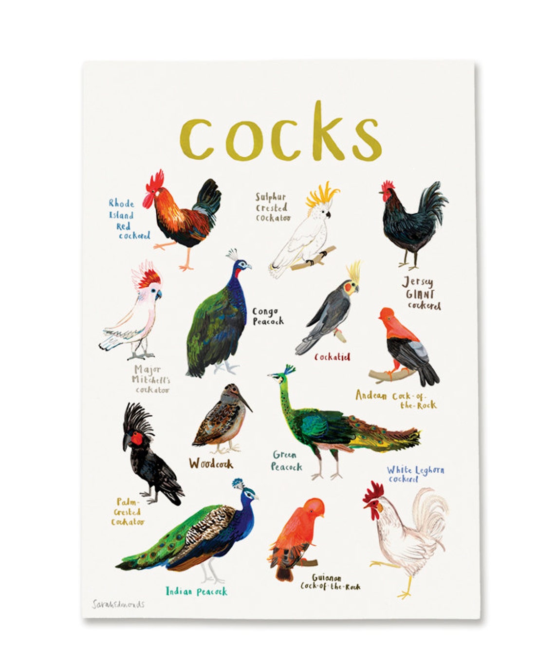 Cocks Art Print A4 Etsy