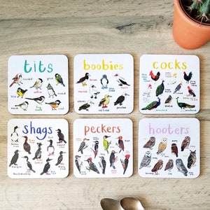 Set of 6 Bird Pun Coasters - CS1-6SET