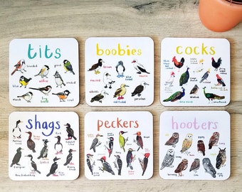 Set of 6 Bird Pun Coasters - CS1-6SET